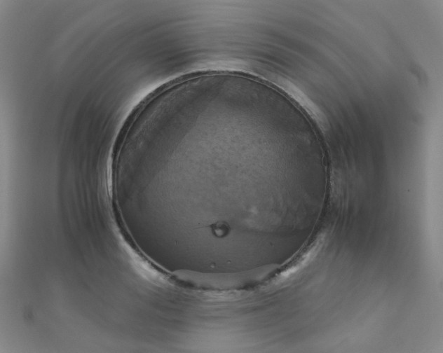 X0000110990988200907022113