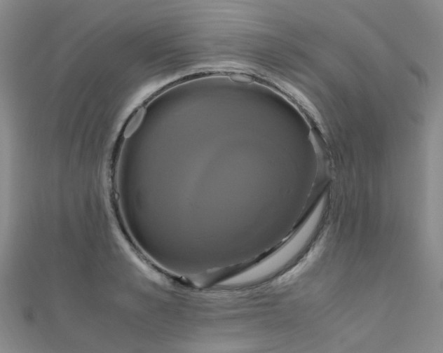 X0000110990989200907022113