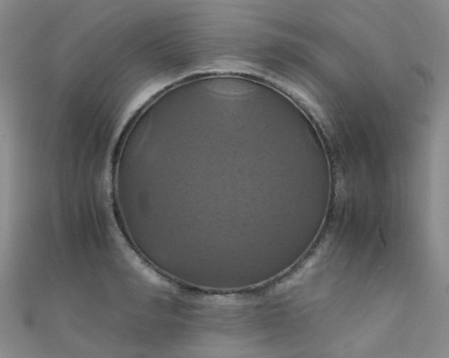 X0000110990990200907022113