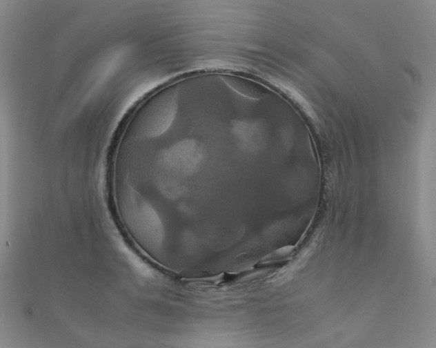 X0000110990991200907022113