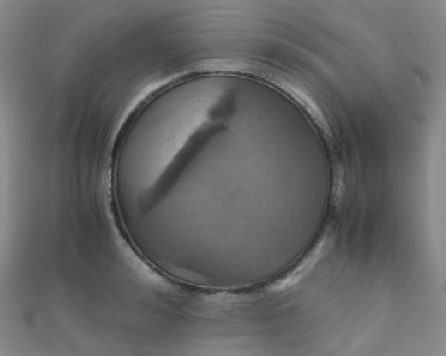 X0000110990992200907022113