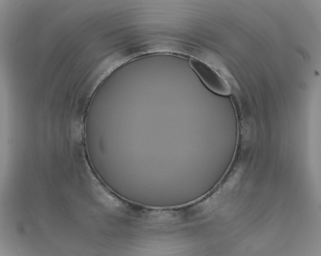 X0000110990993200907022113