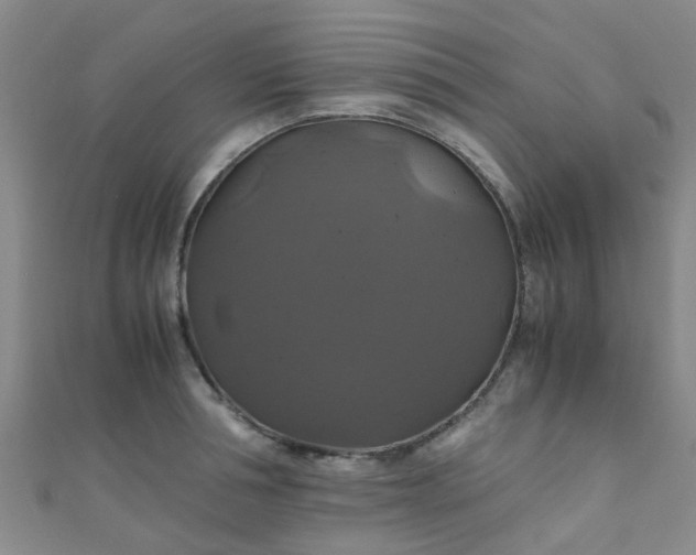 X0000110990994200907022113