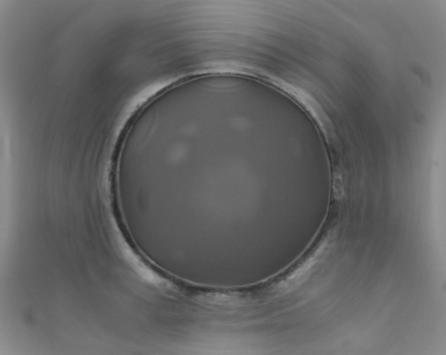 X0000110990995200907022113