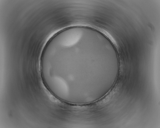 X0000110990996200907022113