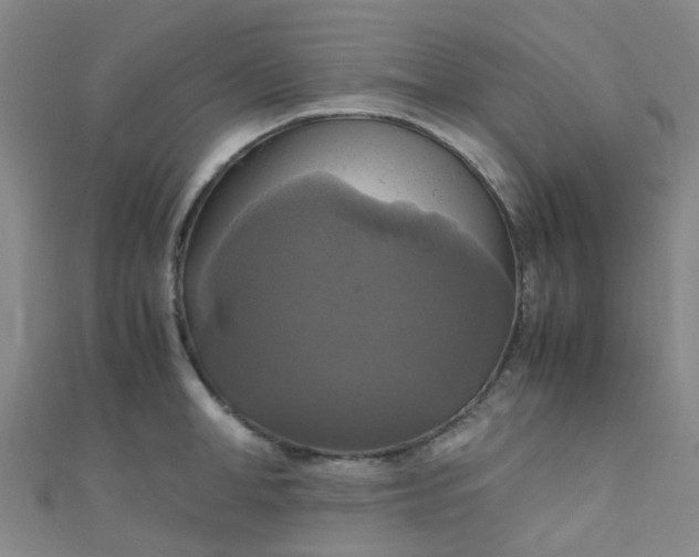 X0000110990998200907022113