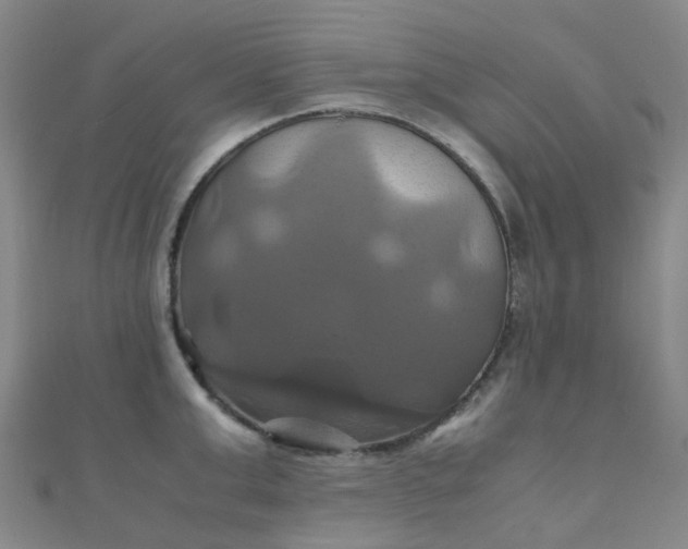 X0000110990999200907022113
