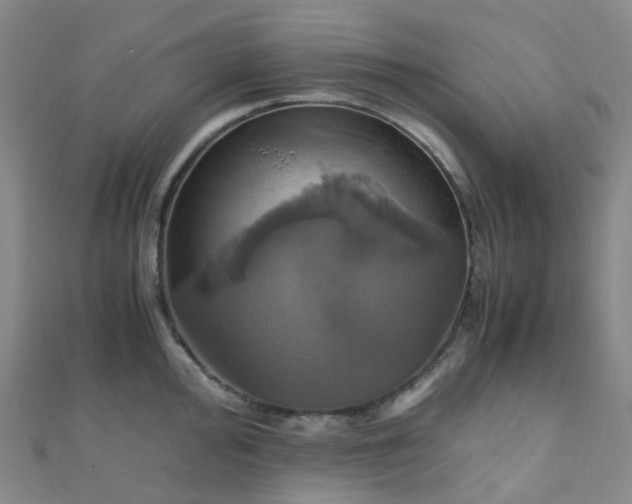 X0000110991000200907022113