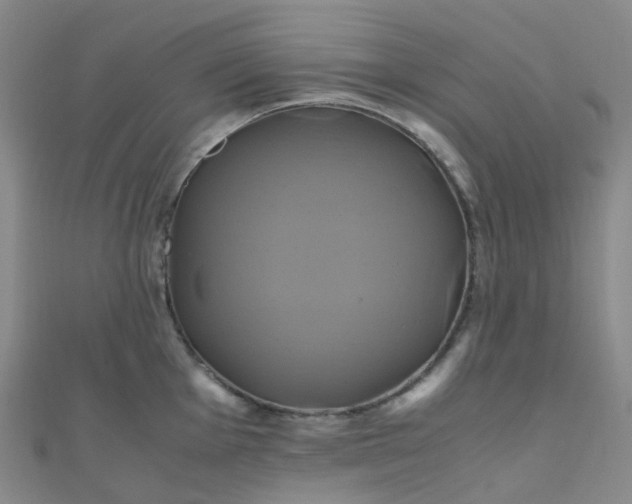 X0000110991001200907022113