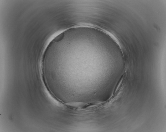 X0000110991003200907022113