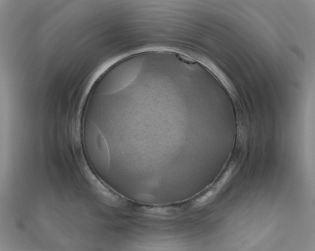 X0000110991004200907022113