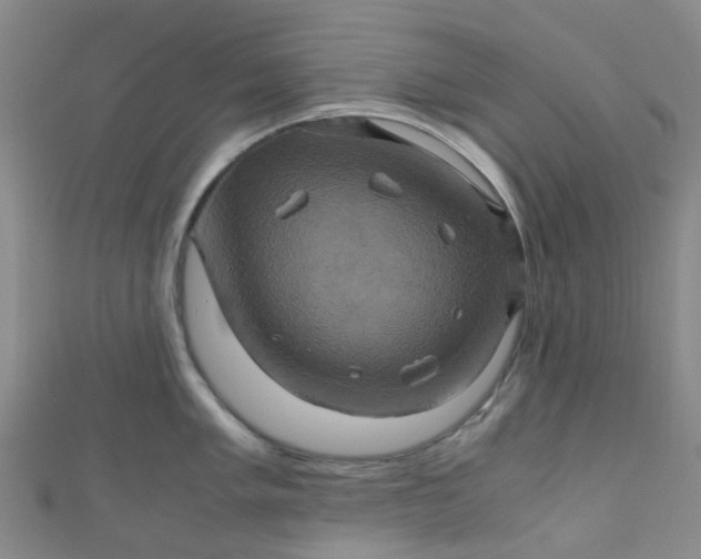 X0000110991005200907022113
