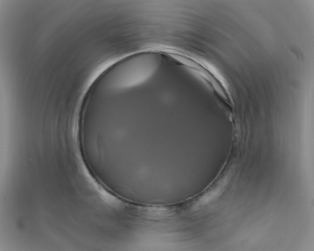 X0000110991007200907022113