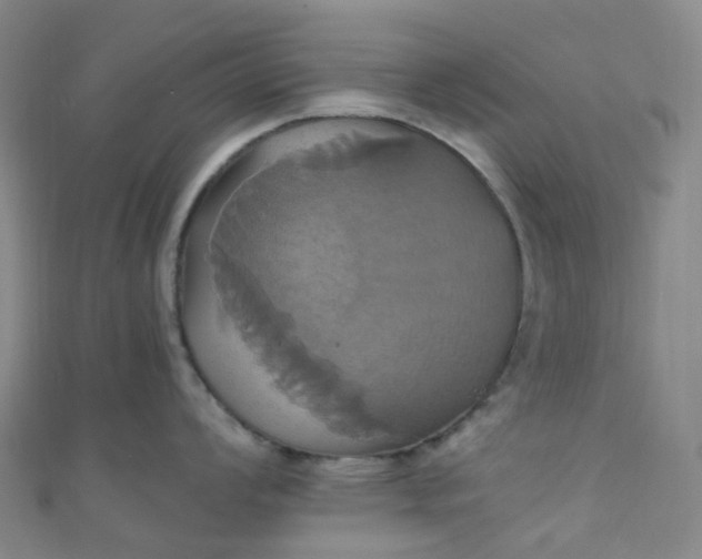 X0000110991008200907022113