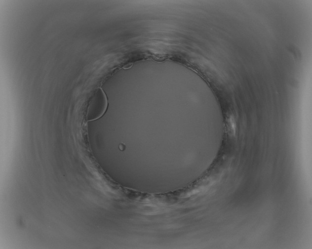 X0000110991009200907022112