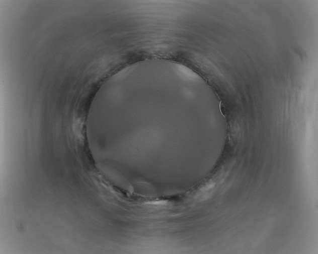 X0000110991010200907022112