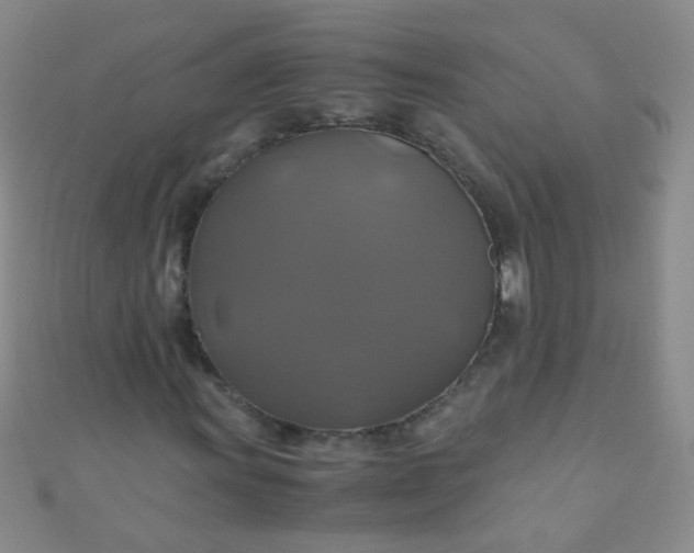 X0000110991011200907022112