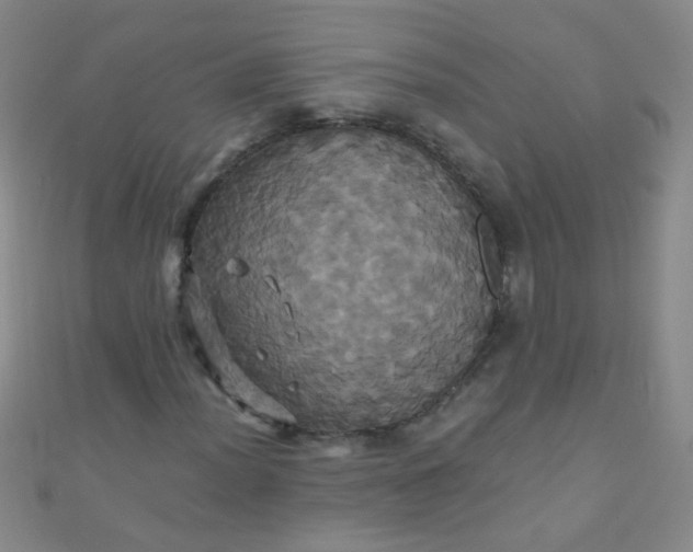 X0000110991012200907022112