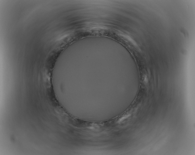 X0000110991013200907022112