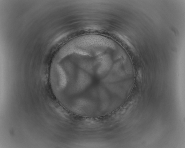 X0000110991015200907022112