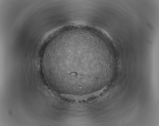 X0000110991016200907022112