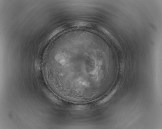 X0000110991017200907022112