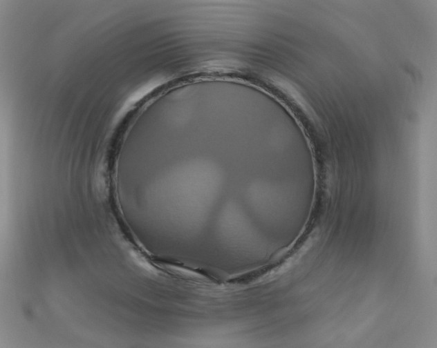 X0000110991018200907022112