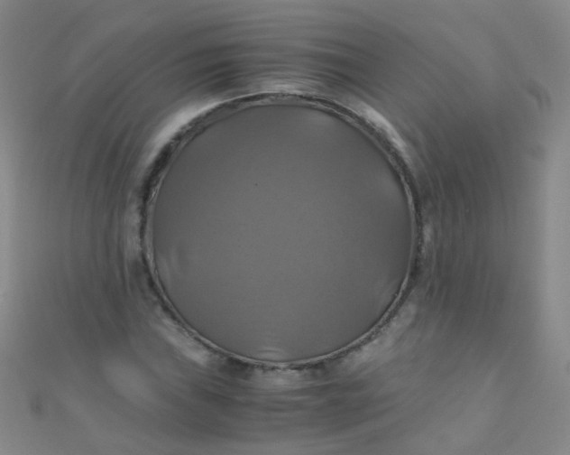 X0000110991019200907022112