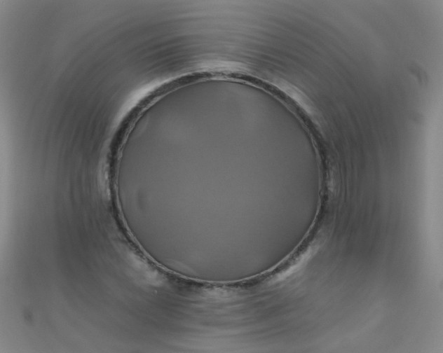 X0000110991022200907022112