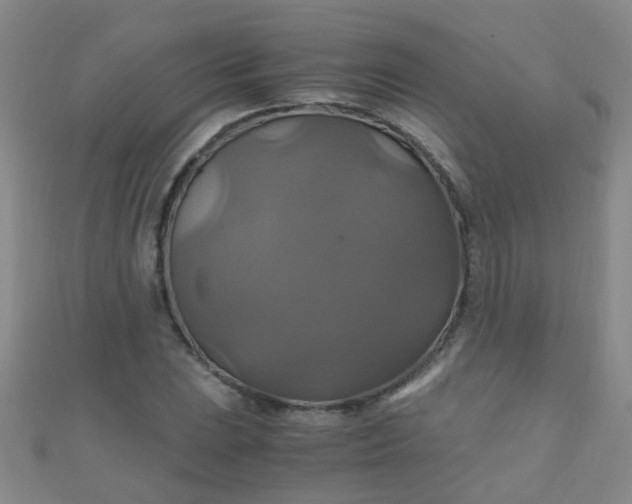 X0000110991023200907022112