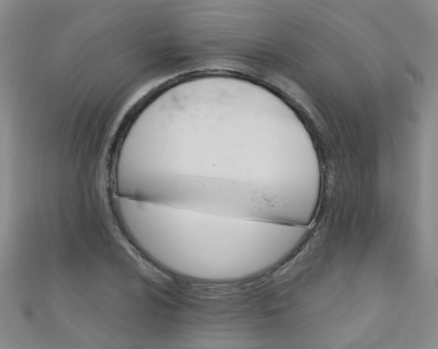X0000110991024200907022112