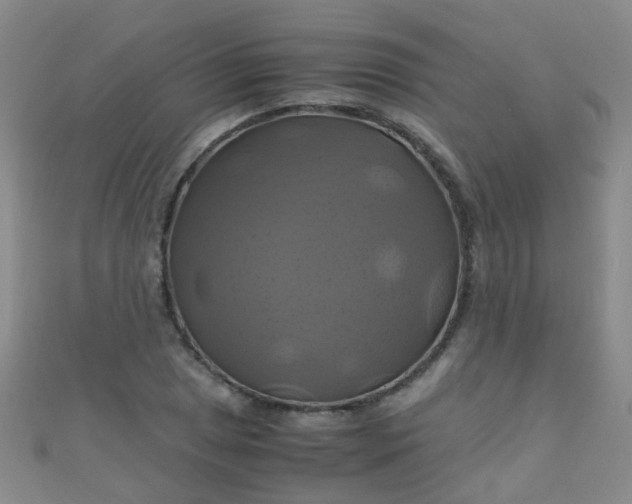 X0000110991025200907022112