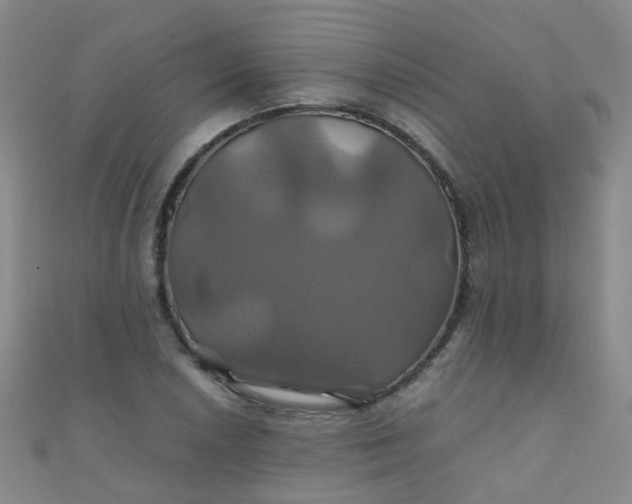 X0000110991026200907022112