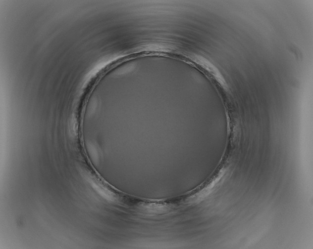 X0000110991027200907022112
