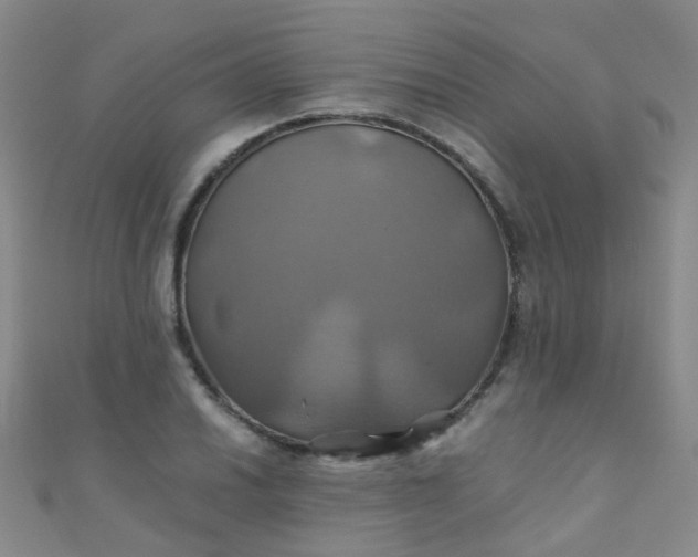 X0000110991030200907022112