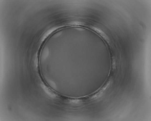 X0000110991031200907022112