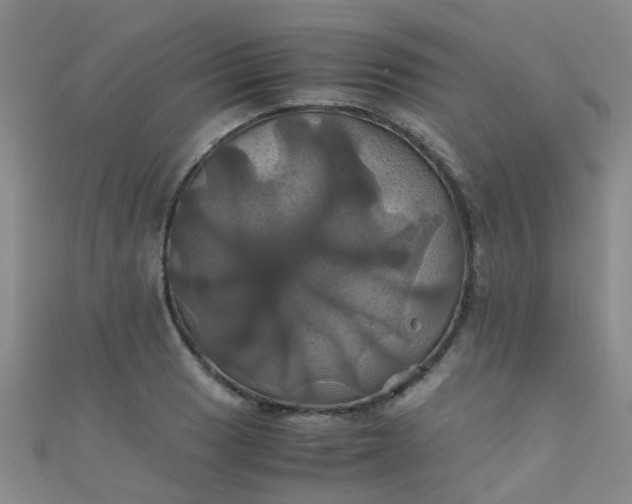 X0000110991033200907022112