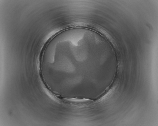 X0000110991034200907022112