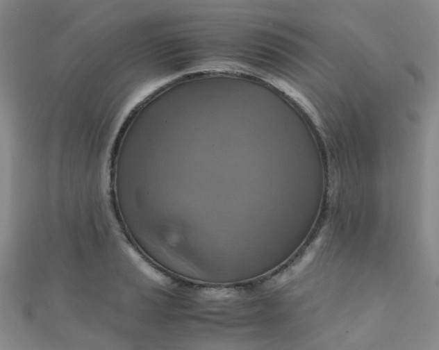 X0000110991037200907022112