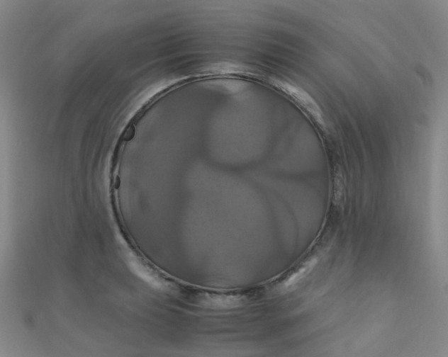X0000110991039200907022112