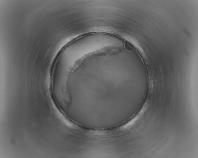 X0000110991040200907022112