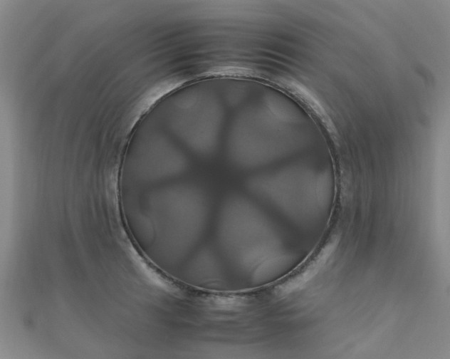 X0000110991041200907022112