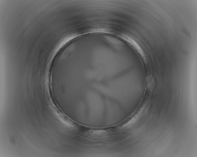X0000110991043200907022112