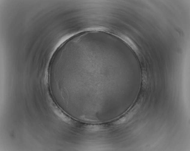 X0000110991044200907022112