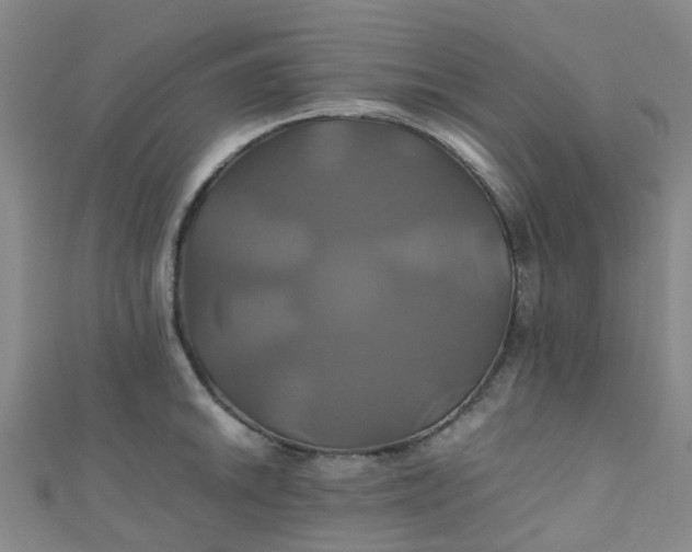 X0000110991046200907022112