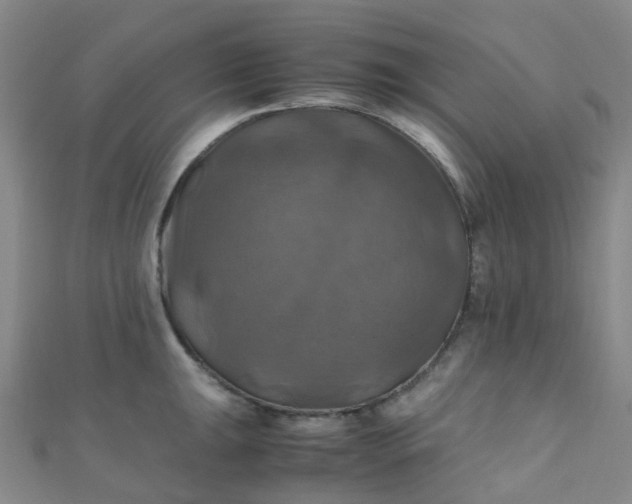 X0000110991047200907022112