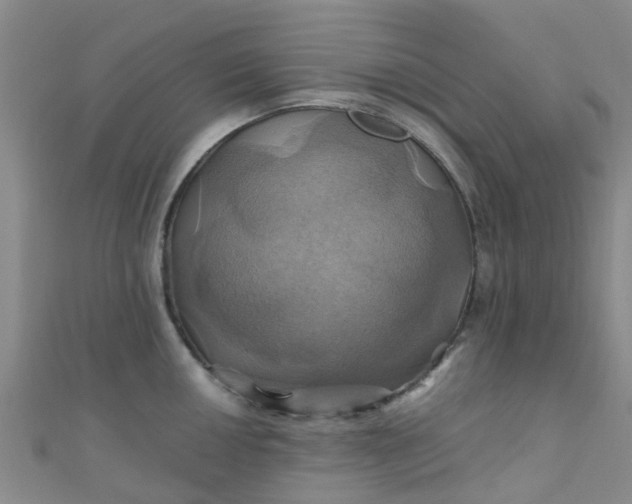 X0000110991050200907022113
