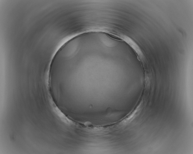 X0000110991052200907022113