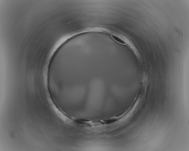 X0000110991054200907022113