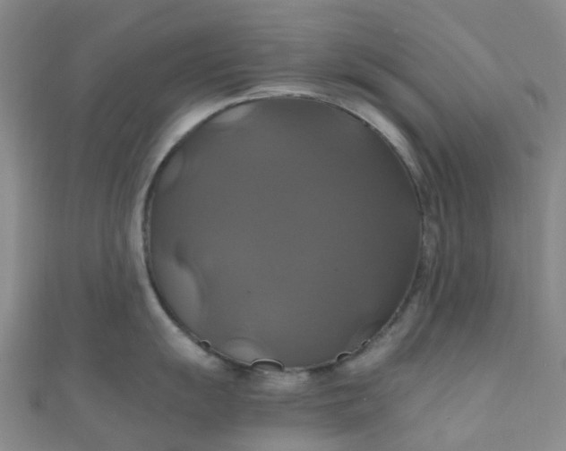X0000110991055200907022113